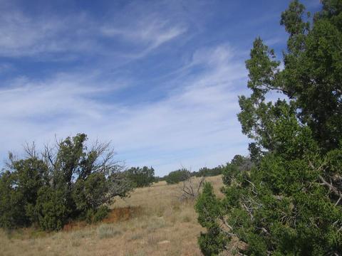 5186 N Eagle Dr, Heber, AZ 85928 photo 5