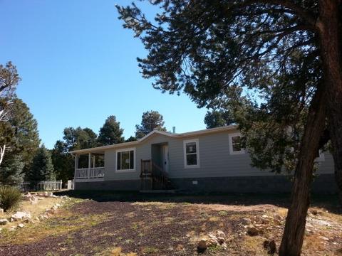 2947 Wildcat Trl, Overgaard, AZ 85933 photo 8