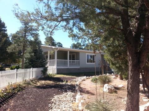 2947 Wildcat Trl, Overgaard, AZ 85933 photo 9
