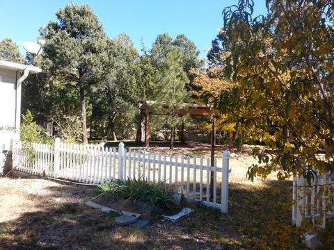 2947 Wildcat Trl, Overgaard, AZ 85933 photo 5