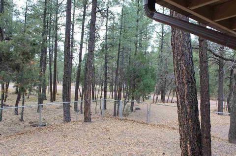 19 Willow Run, Lakeside, AZ 85929 photo 13
