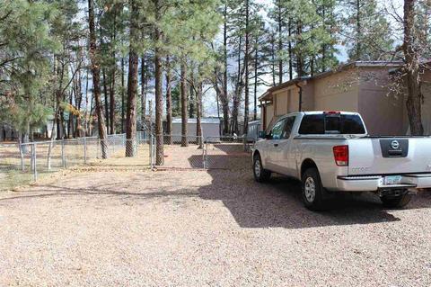 19 Willow Run, Lakeside, AZ 85929 photo 15