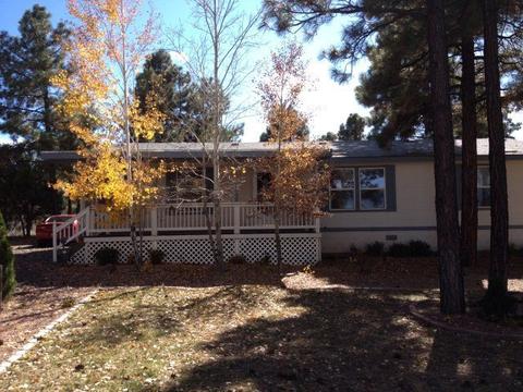 111 Timber Ridge Loop, Show Low, AZ 85901 photo 16