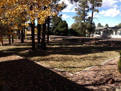 111 Timber Ridge Loop, Show Low, AZ 85901 photo 14