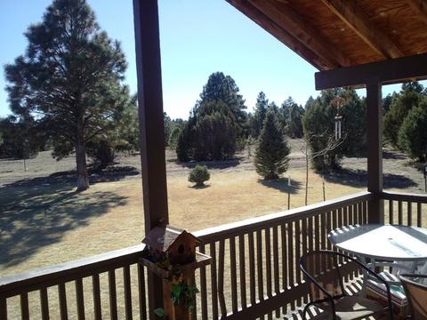 2800 Kelton Cir, Overgaard, AZ 85933 photo 21