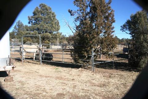 2800 Kelton Cir, Overgaard, AZ 85933 photo 26