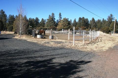 2800 Kelton Cir, Overgaard, AZ 85933 photo 25