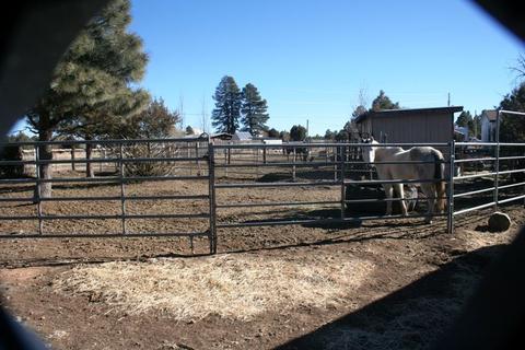 2800 Kelton Cir, Overgaard, AZ 85933 photo 27
