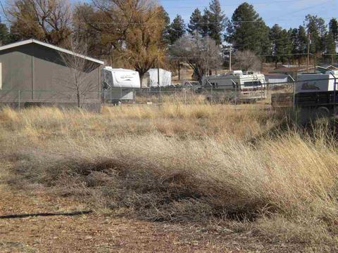 2725 Senior Ctr, Overgaard, AZ 85933 photo 2