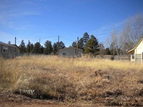 2724 Towell St, Overgaard, AZ 85933 photo 2