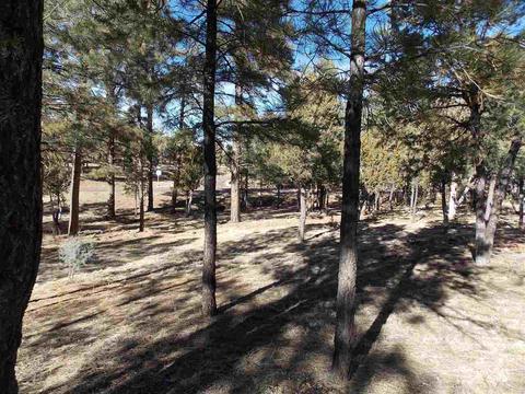 2821 Cougar Ln, Overgaard, AZ 85933 photo 2