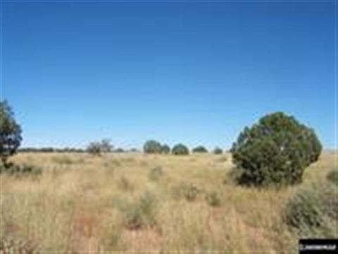 8367 S Sharp Trl, Snowflake, AZ 85937 photo 4