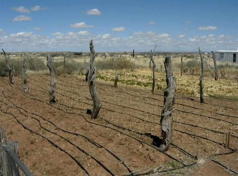 8367 S Sharp Trl, Snowflake, AZ 85937 photo 1