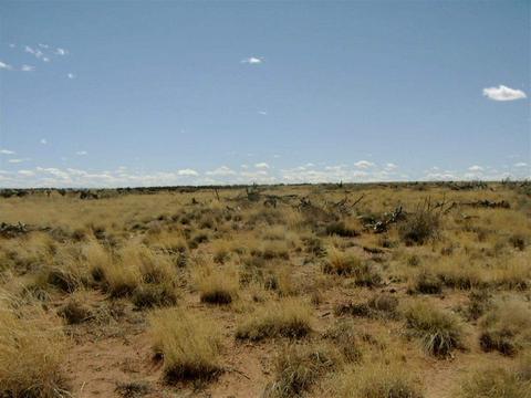 8367 S Sharp Trl, Snowflake, AZ 85937 photo 5