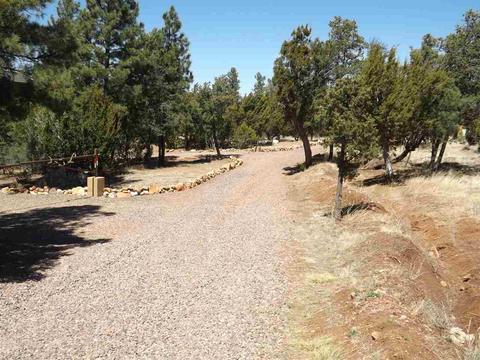 3317 Lodgepole Rd, Overgaard, AZ 85933 photo 6