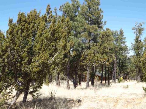 3317 Lodgepole Rd, Overgaard, AZ 85933 photo 4