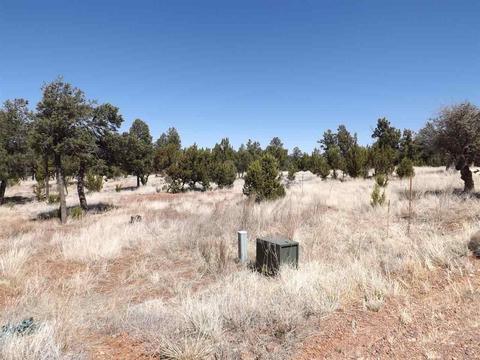 3317 Lodgepole Rd, Overgaard, AZ 85933 photo 9