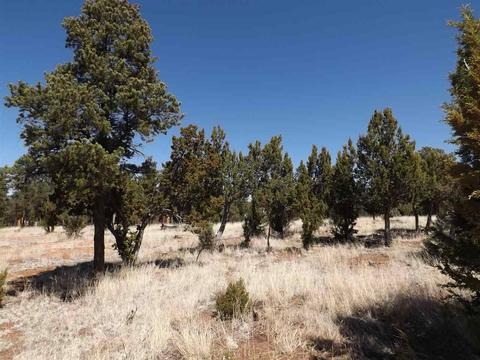 3317 Lodgepole Rd, Overgaard, AZ 85933 photo 2