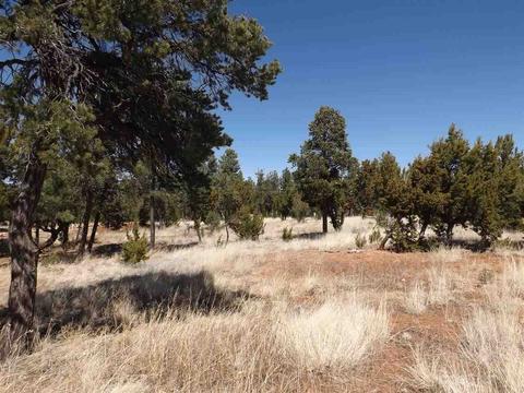 3317 Lodgepole Rd, Overgaard, AZ 85933 photo 1