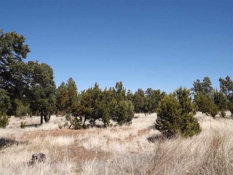 3317 Lodgepole Rd, Overgaard, AZ 85933 photo 5