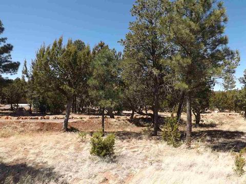 3317 Lodgepole Rd, Overgaard, AZ 85933 photo 3