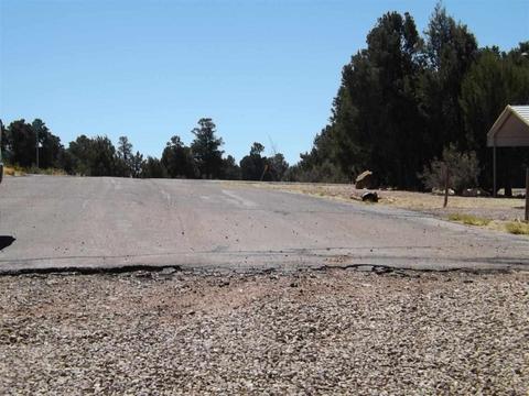 3317 Lodgepole Rd, Overgaard, AZ 85933 photo 7