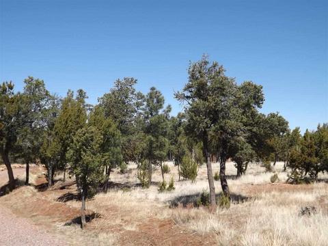 3317 Lodgepole Rd, Overgaard, AZ 85933 photo 8