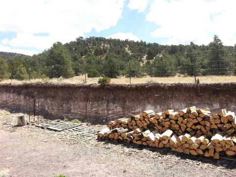 585 E 11th Ln, Eagar, AZ 85925 photo 14