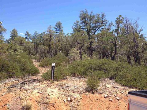 931 Falling Leaf, Show Low, AZ 85901 photo 1