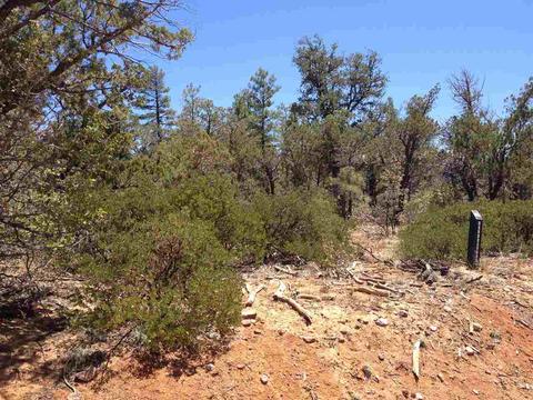 931 Falling Leaf, Show Low, AZ 85901 photo 2