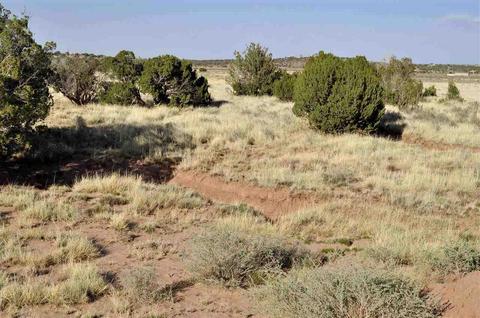 4661 Encanto Rd, Snowflake, AZ 85937 photo 12