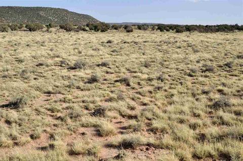 4661 Encanto Rd, Snowflake, AZ 85937 photo 3