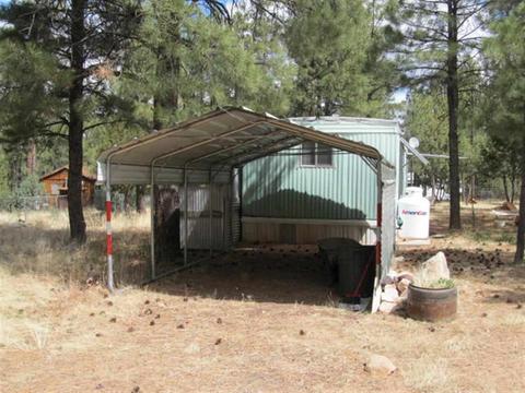 2868 Markham, Overgaard, AZ 85933 photo 3