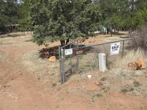 2868 Markham, Overgaard, AZ 85933 photo 14