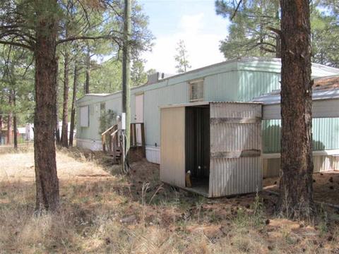 2868 Markham, Overgaard, AZ 85933 photo 4