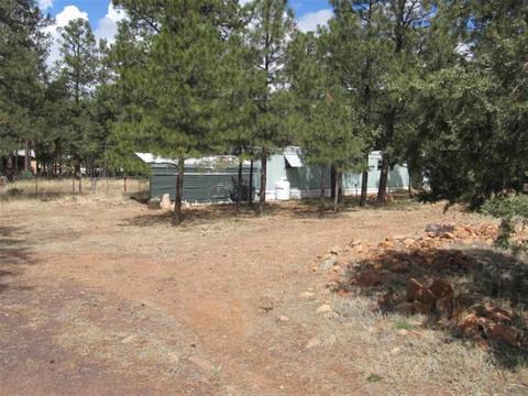 2868 Markham, Overgaard, AZ 85933 photo 2