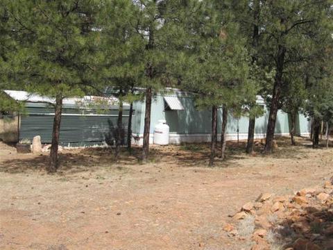 2868 Markham, Overgaard, AZ 85933 photo 1