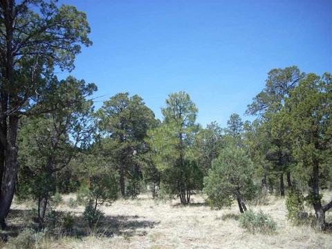 2862 Buck Cir, Overgaard, AZ 85933 photo 8