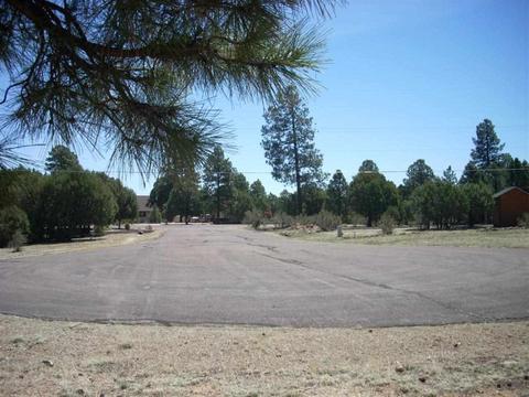 2862 Buck Cir, Overgaard, AZ 85933 photo 2