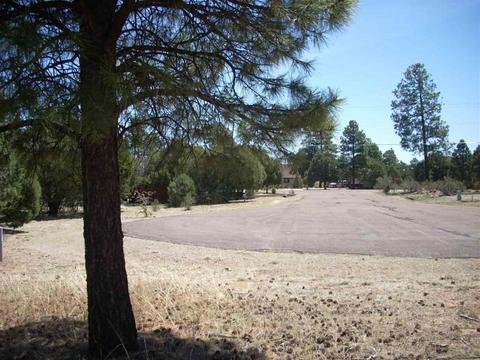 2862 Buck Cir, Overgaard, AZ 85933 photo 5