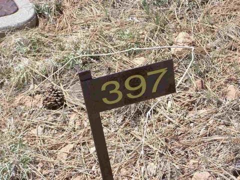 2862 Buck Cir, Overgaard, AZ 85933 photo 13