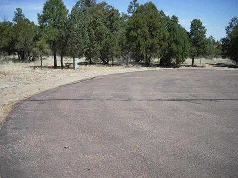 2862 Buck Cir, Overgaard, AZ 85933 photo 11