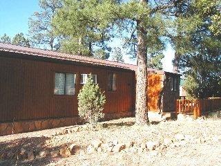 3640 Red Wing Loop, Overgaard, AZ 85933 photo 16
