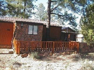 3640 Red Wing Loop, Overgaard, AZ 85933 photo 1