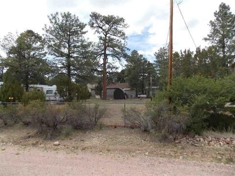 2062 Chipmunk Xing, Overgaard, AZ 85933 photo 1
