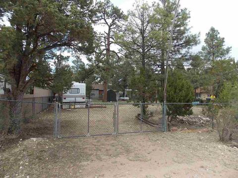 2062 Chipmunk Xing, Overgaard, AZ 85933 photo 2