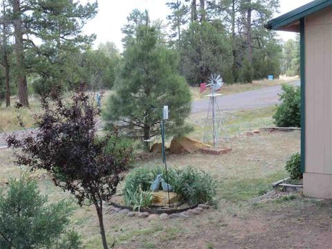 1984 Pine Cone Cir, Overgaard, AZ 85933 photo 23