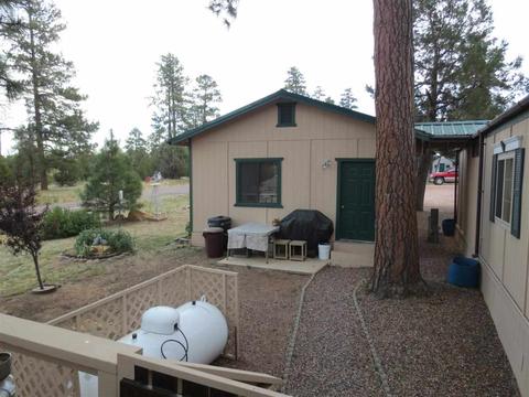 1984 Pine Cone Cir, Overgaard, AZ 85933 photo 20