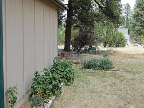 1984 Pine Cone Cir, Overgaard, AZ 85933 photo 4