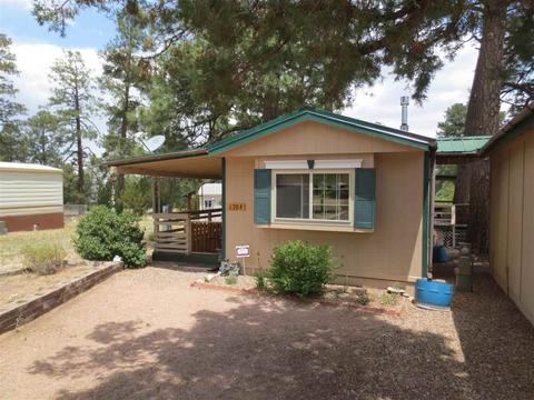 1984 Pine Cone Cir, Overgaard, AZ 85933 photo 3